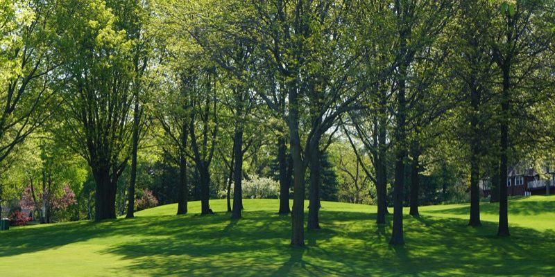 beth-macdonald-PBjB5V1jFWw-unsplash