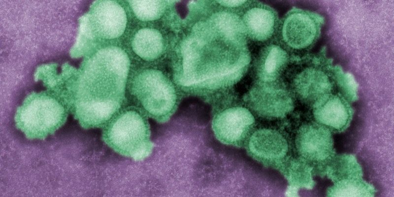 cdc-x-V7ww6LaaM-unsplash