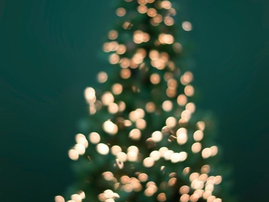 rodolfo-marques-4D160Ilvm2k-unsplash